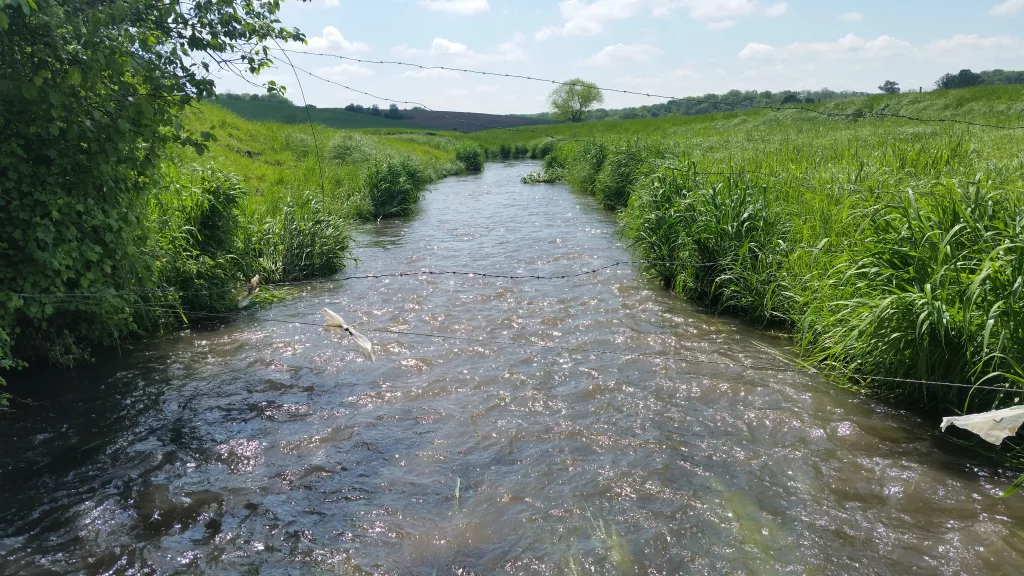 A stream of water flows between two farm fields.  The fields are covered with grass and pastures.